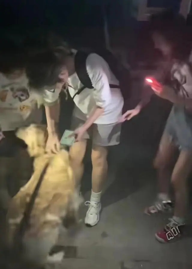 武大学霸狗走红_大学生以证换狗走红_牛生麒麟猪生马生双狗