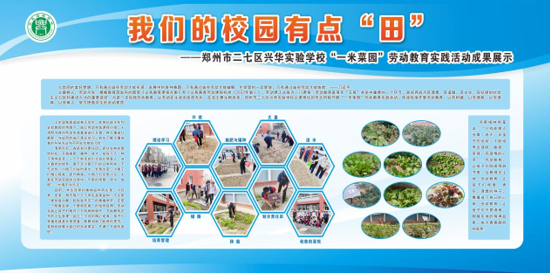 郑州市二七区兴华实验学校开展一米菜园劳动教育实践活动成果展示活动