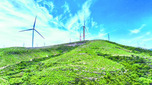 全面加快国土绿化提速行动 绘就生态淇县新画卷