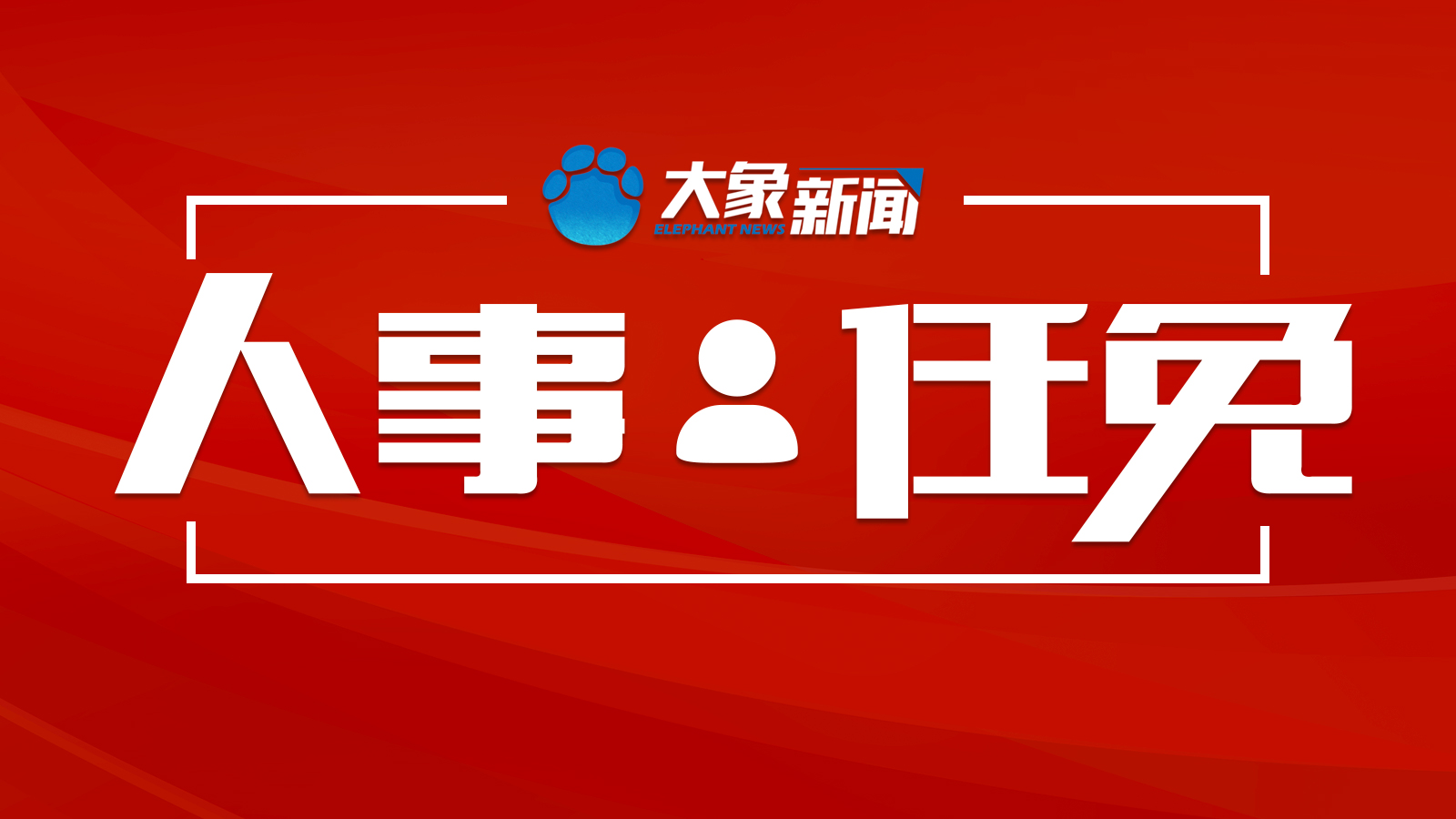 速看！焦作最新人事任免