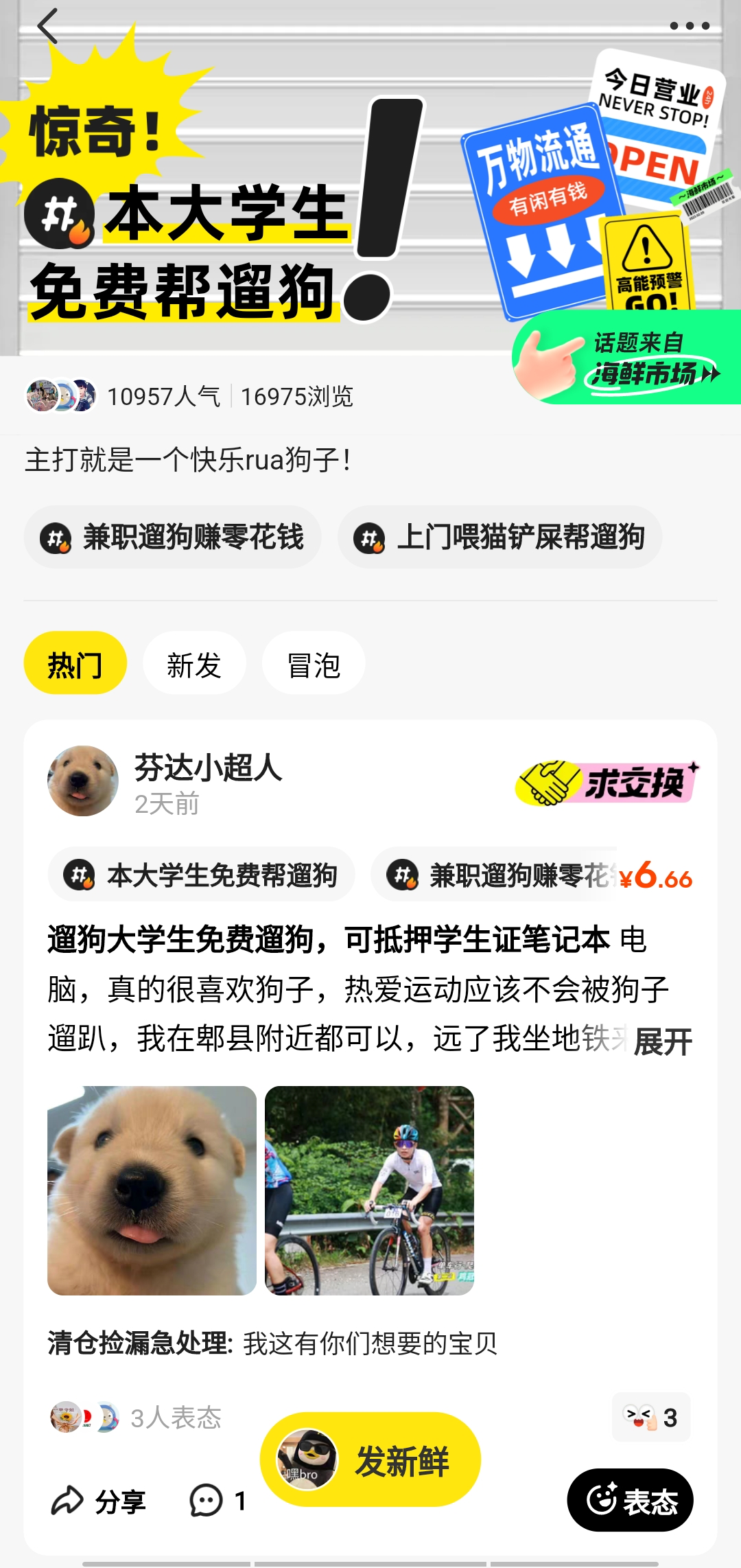 同城找狗仅用不到15分钟！闲鱼发布代遛狗城市热度图-映象新闻-河南24小时-映象网