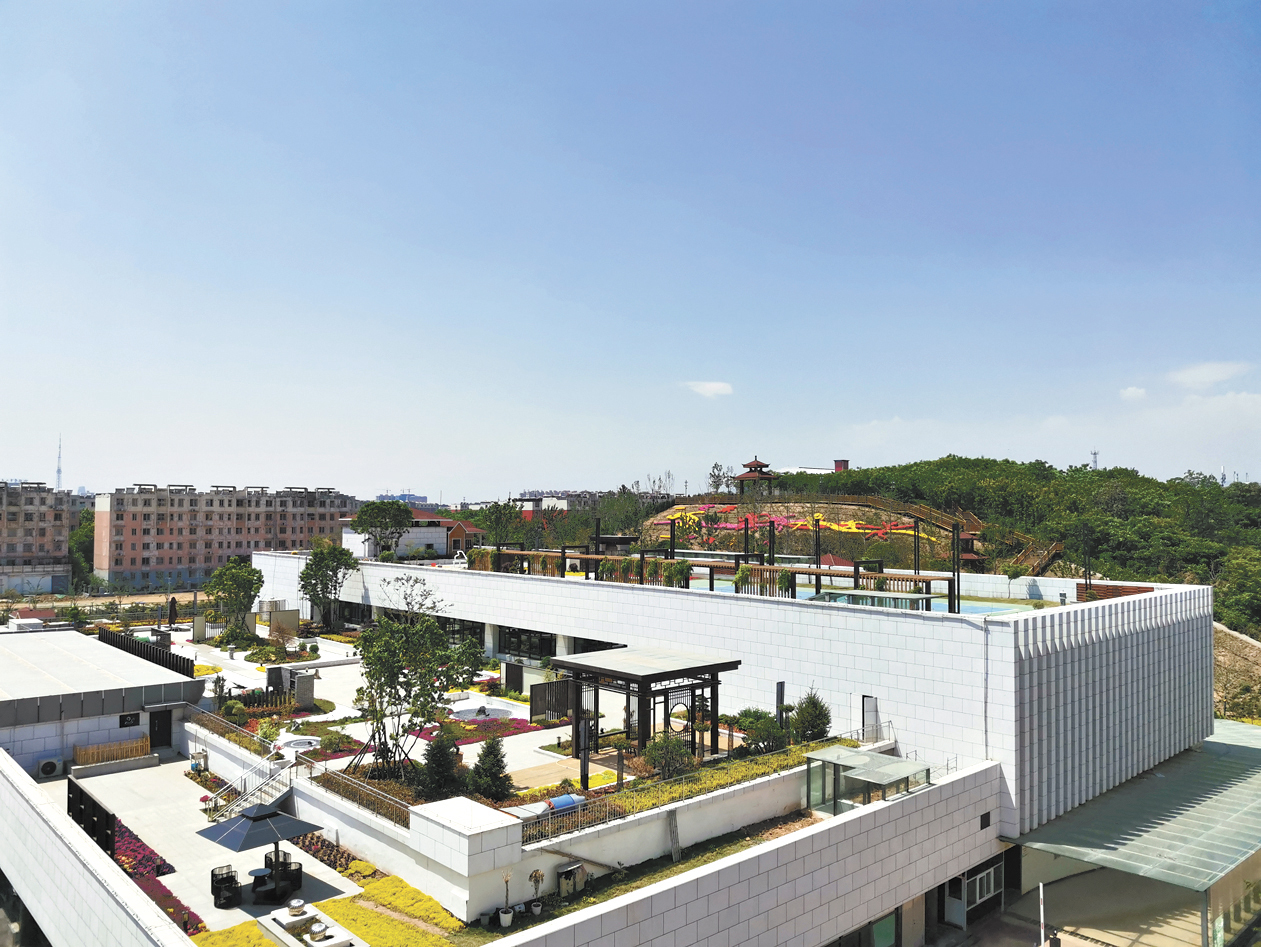 鹤壁经济技术开发区打造“绿色福利”让市民邂逅“微幸福”