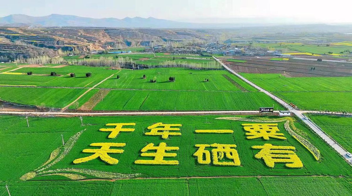 伊川县三立足三融合开创运营新局面