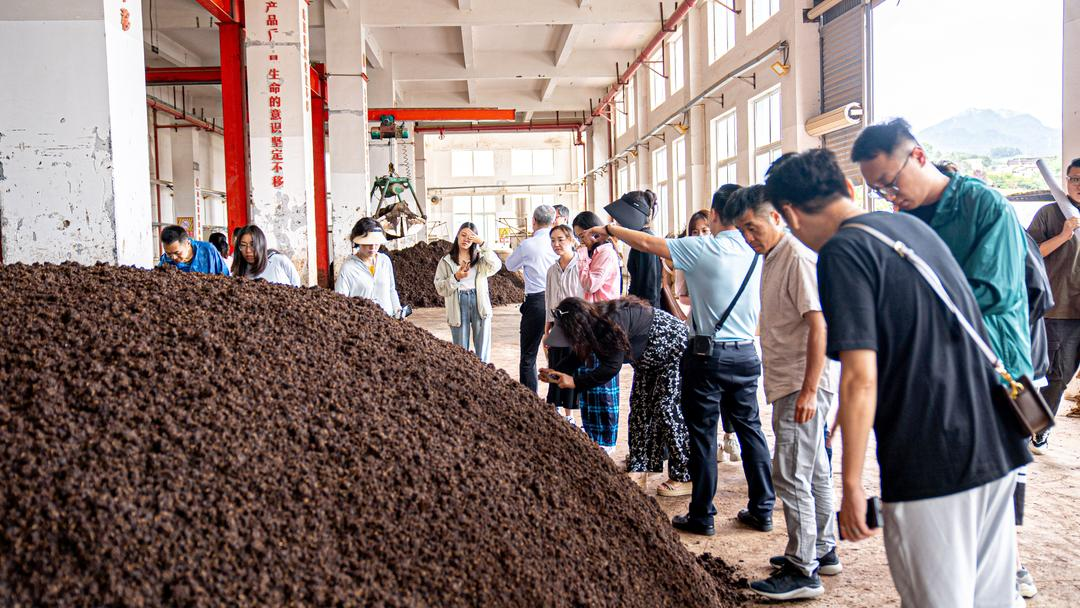 跨越未来让世界看见贵州之走进怀仁