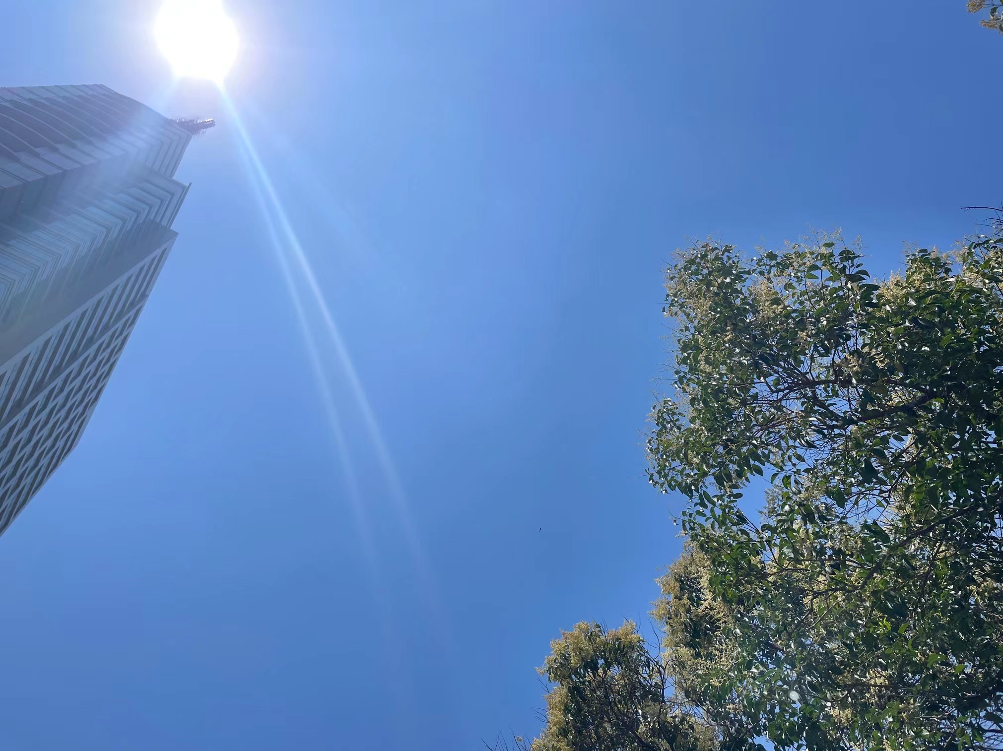 局部升至40℃以上！河南发布高温橙色预警