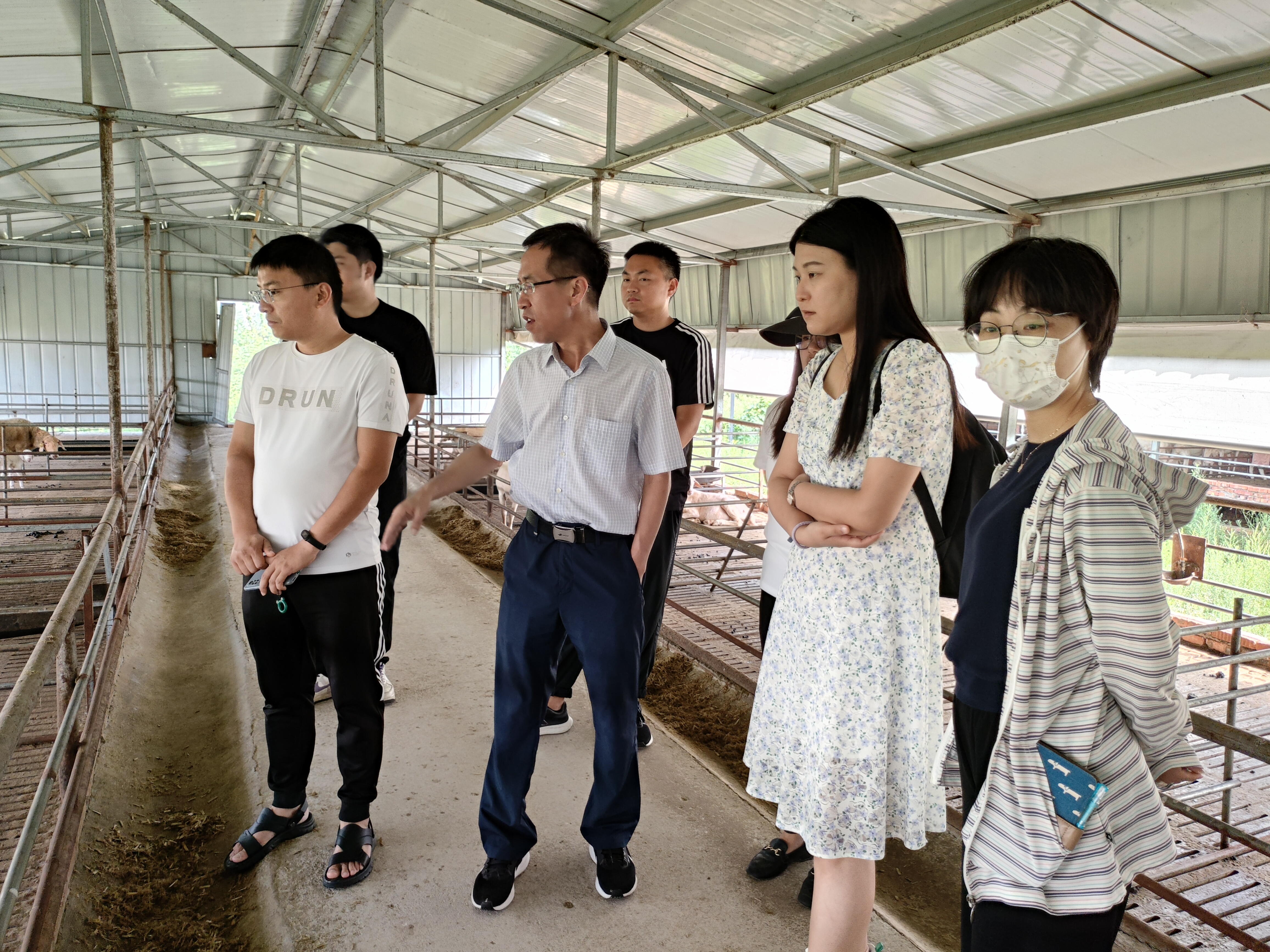 专家"把脉问诊" 光山县养殖企业:保品种单一才能更好品牌化