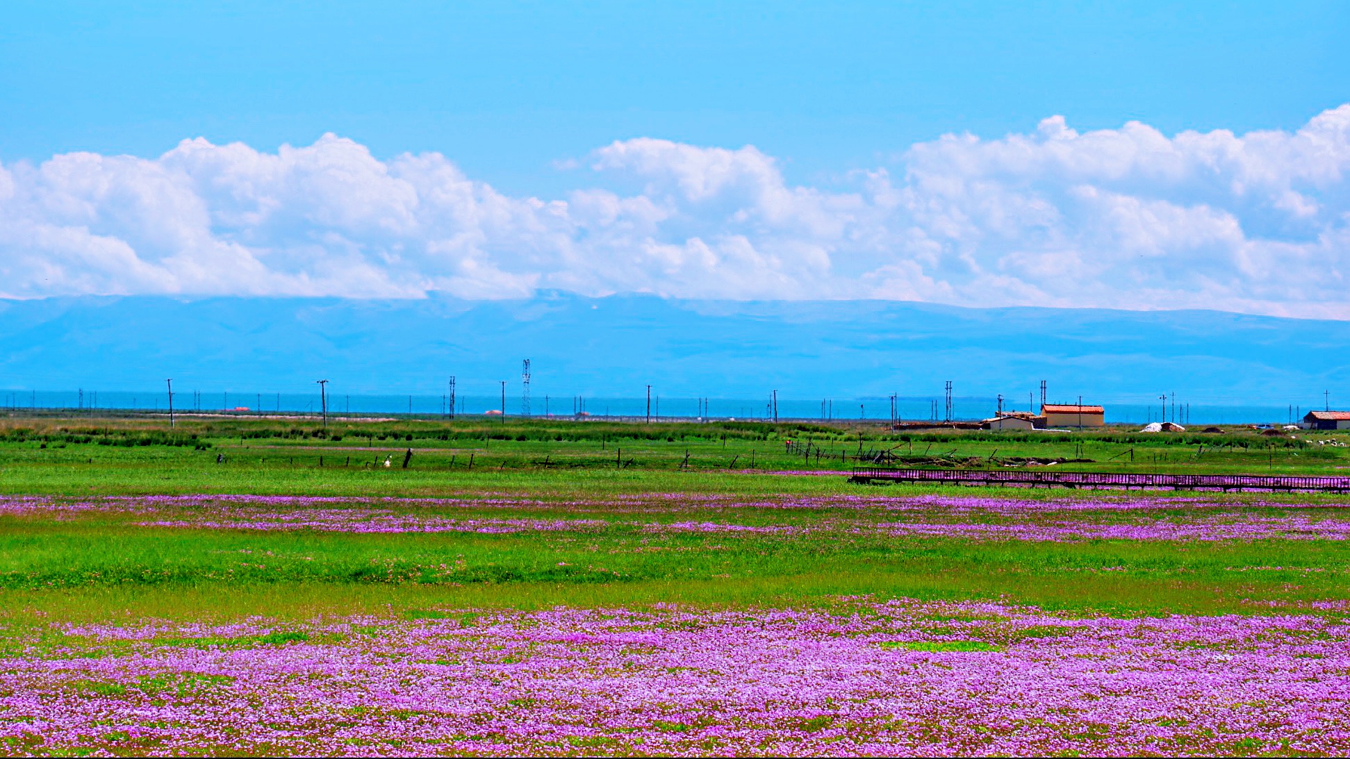 美图纯享一起走进高原蓝宝石青海湖