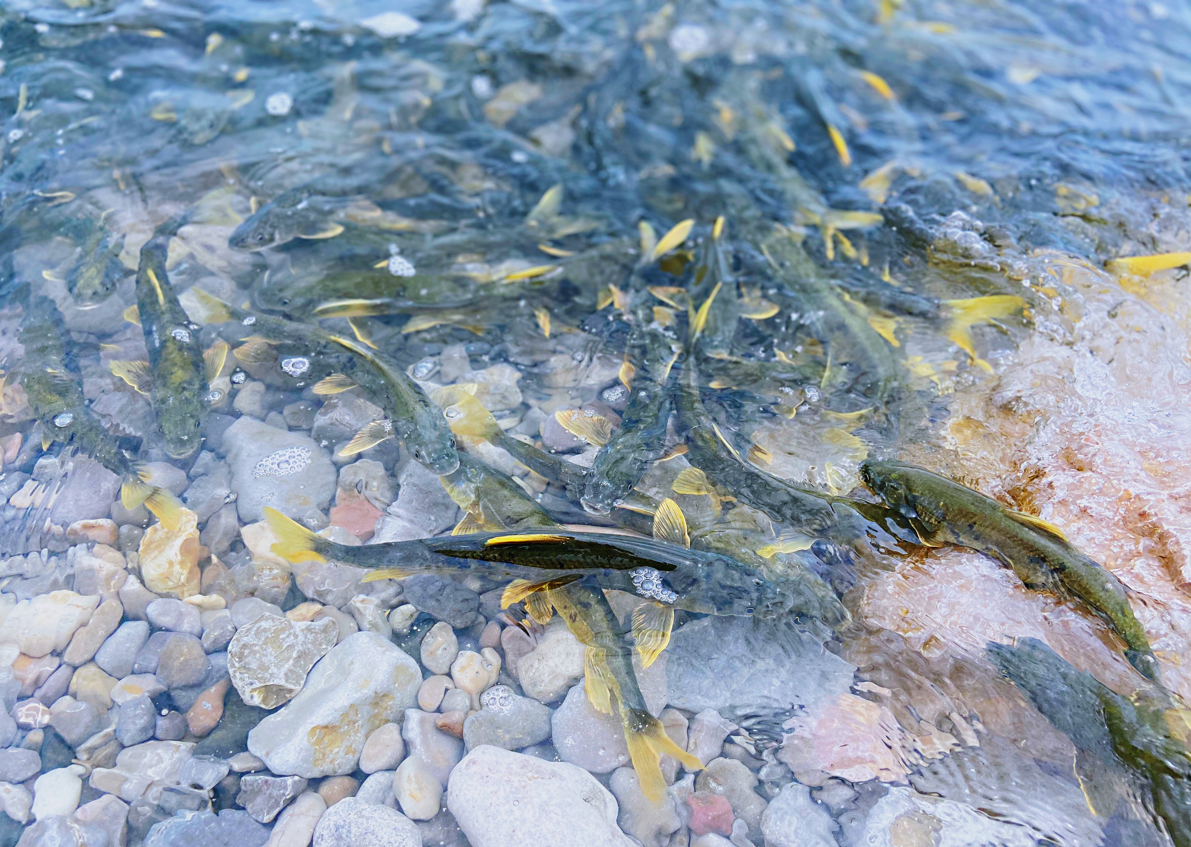 美图纯享一起走进高原蓝宝石青海湖