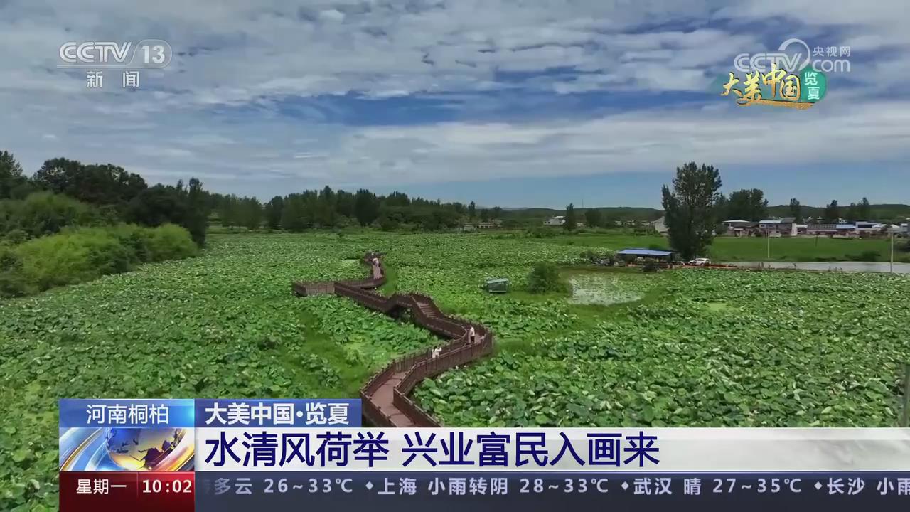 【央視關(guān)注河南桐柏】水清風(fēng)荷舉 興業(yè)富民入畫(huà)來(lái)