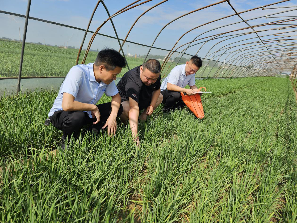 浚县农商银行：以金融之笔绘就乡村振兴美丽画卷