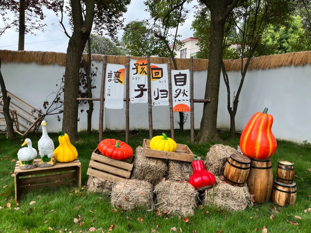 信阳市羊山新区：探索“研学+”发展新模式，全力做好巩固脱贫攻坚后半篇文章