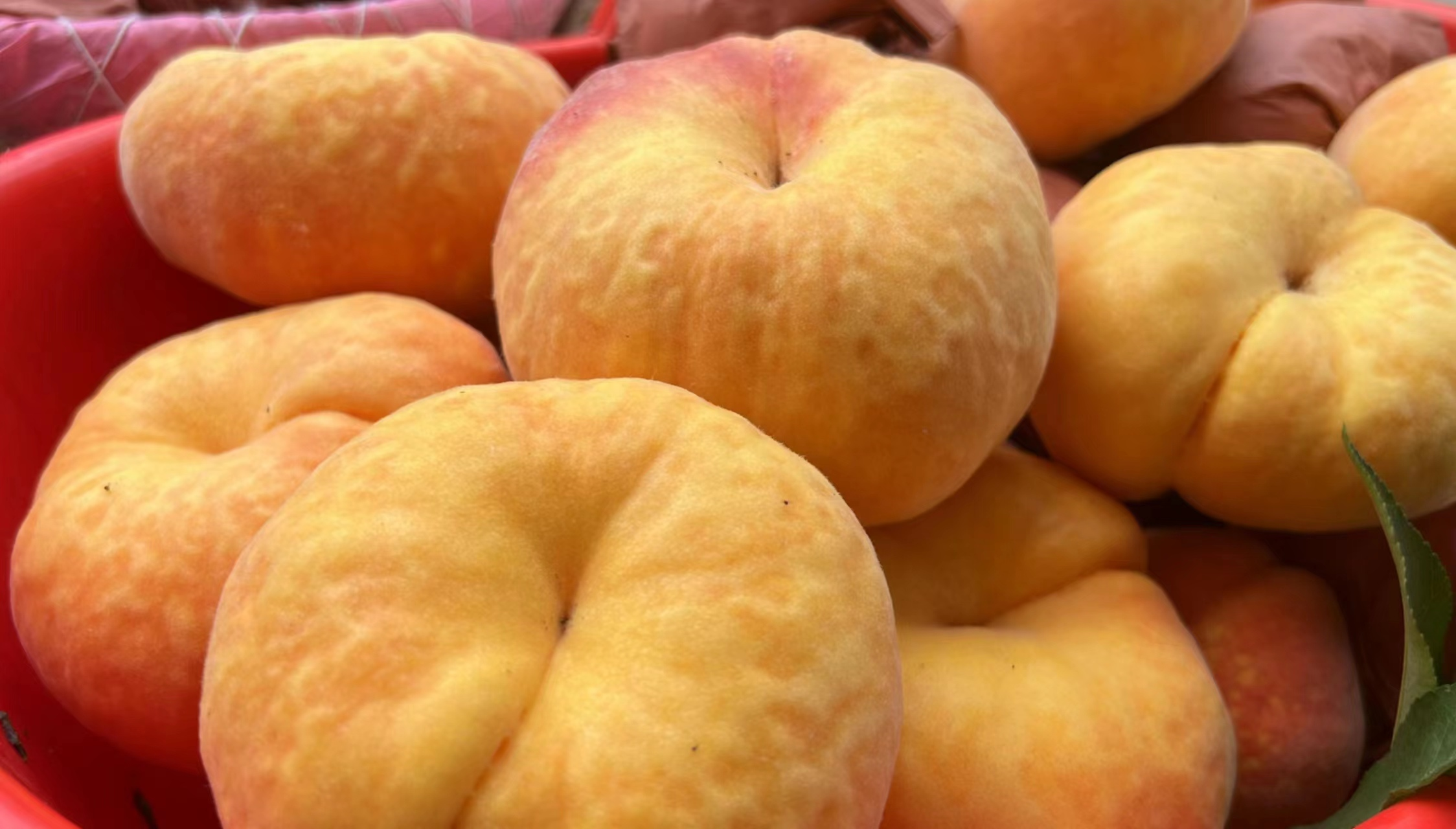 邓州市白牛镇鲜桃满枝引客来特色产业助增收