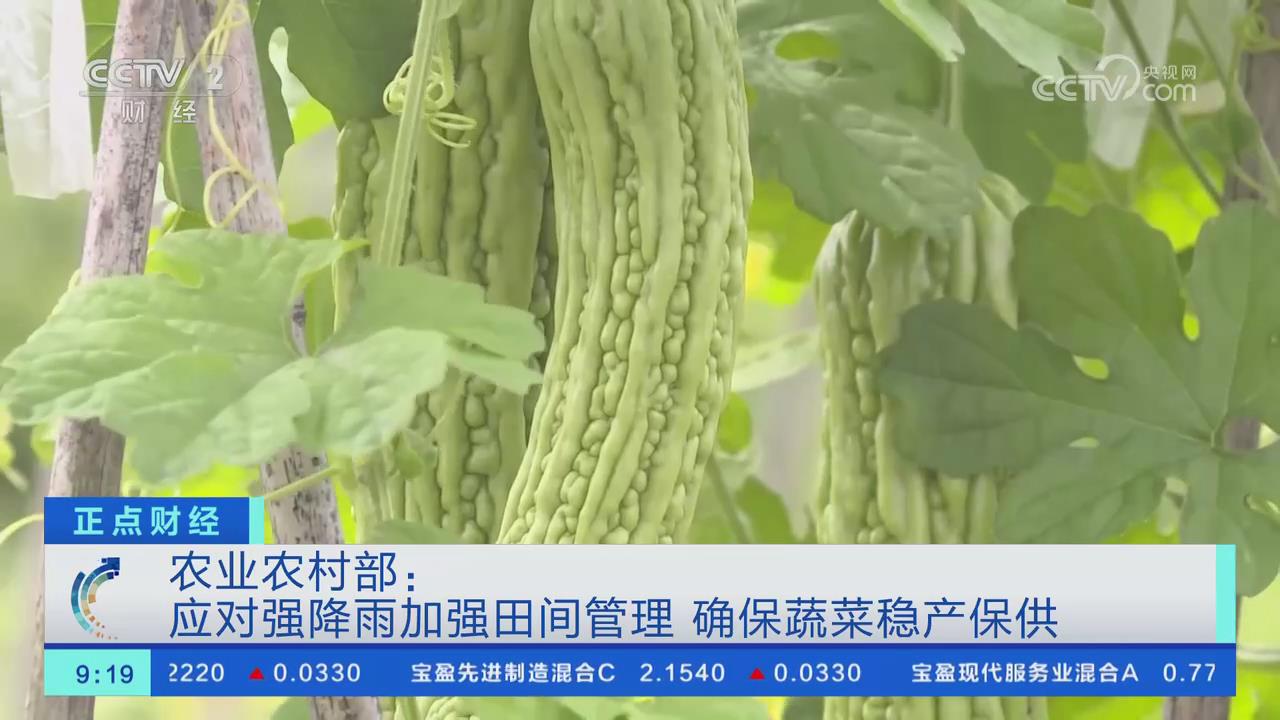 【央視關(guān)注河南滑縣】應(yīng)對(duì)強(qiáng)降雨加強(qiáng)田間管理