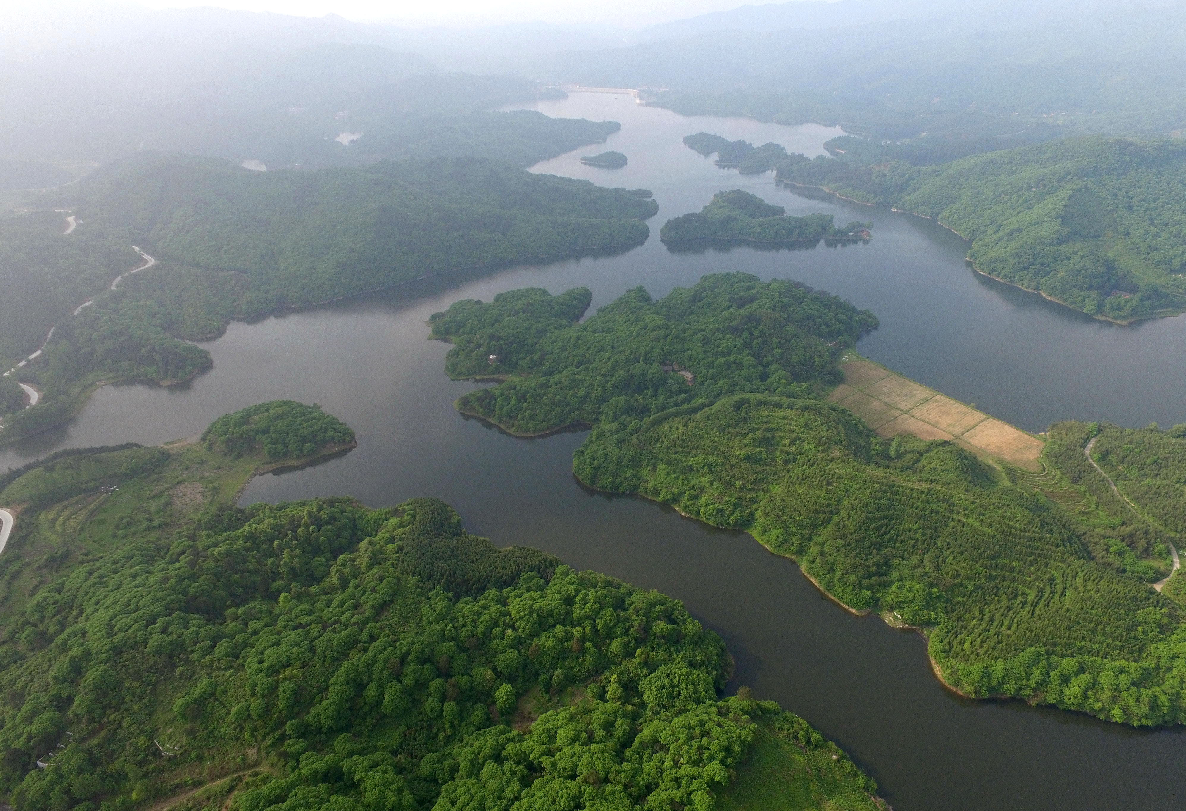 22个！河南新一批“绿色发展领跑计划”项目来了→