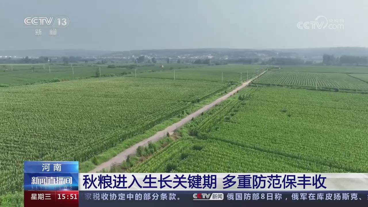 【央視關(guān)注河南】秋糧進(jìn)入生長關(guān)鍵期 多重防范保豐收