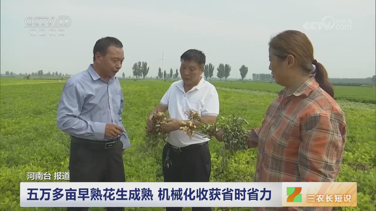 【央視關(guān)注河南內(nèi)黃】五萬(wàn)多畝早熟花生成熟 機(jī)械化收獲省時(shí)省力