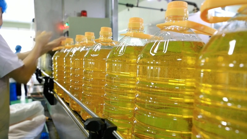 安阳市内黄县早熟花生喜丰收鼓起农户钱袋子