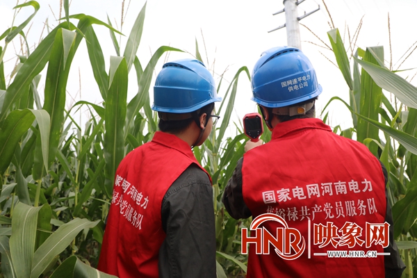 国网遂平县供电公司：加强设备特巡 保障电网安全