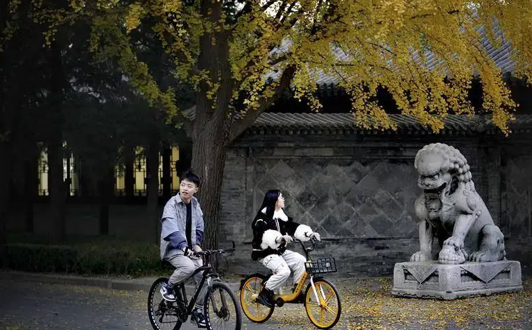 大学“养分高”，会“吸收”是关键