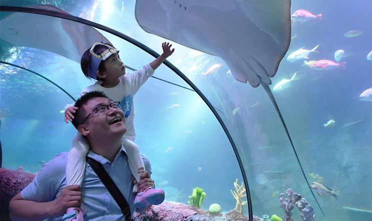 《家庭教育指导师国家职业技能标准》进入公示阶段