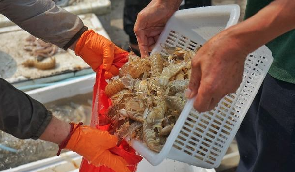 还在纠结吃不吃？“内陆海鲜”了解下