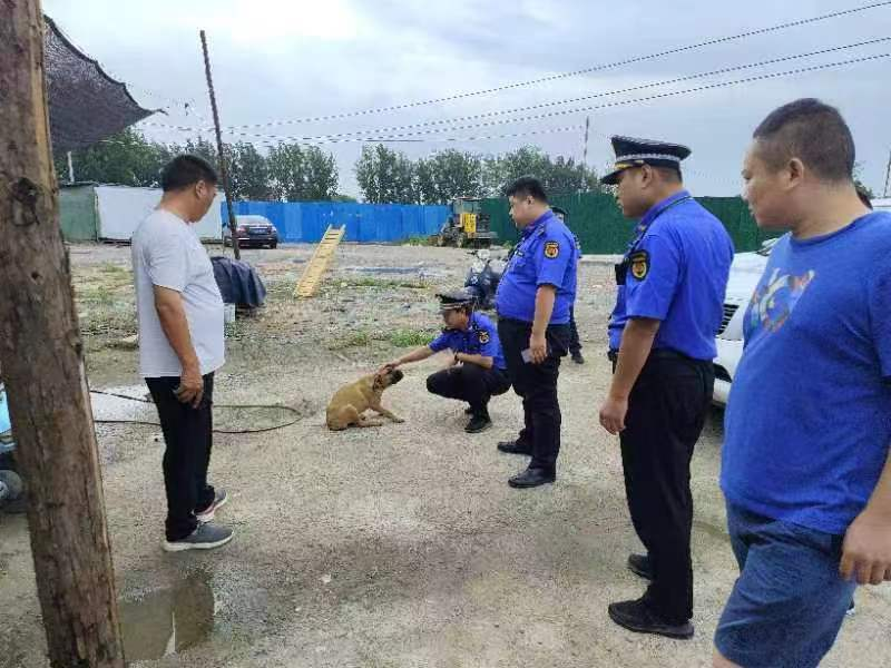 郑州市管城区南曹街道：文明养犬 从我做起