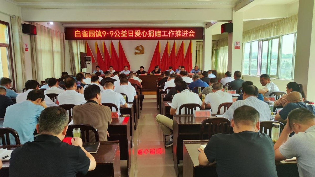 光山县白雀园镇99公益汇聚乡村振兴微力量