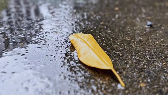 河南新乡发布暴雨橙色预警