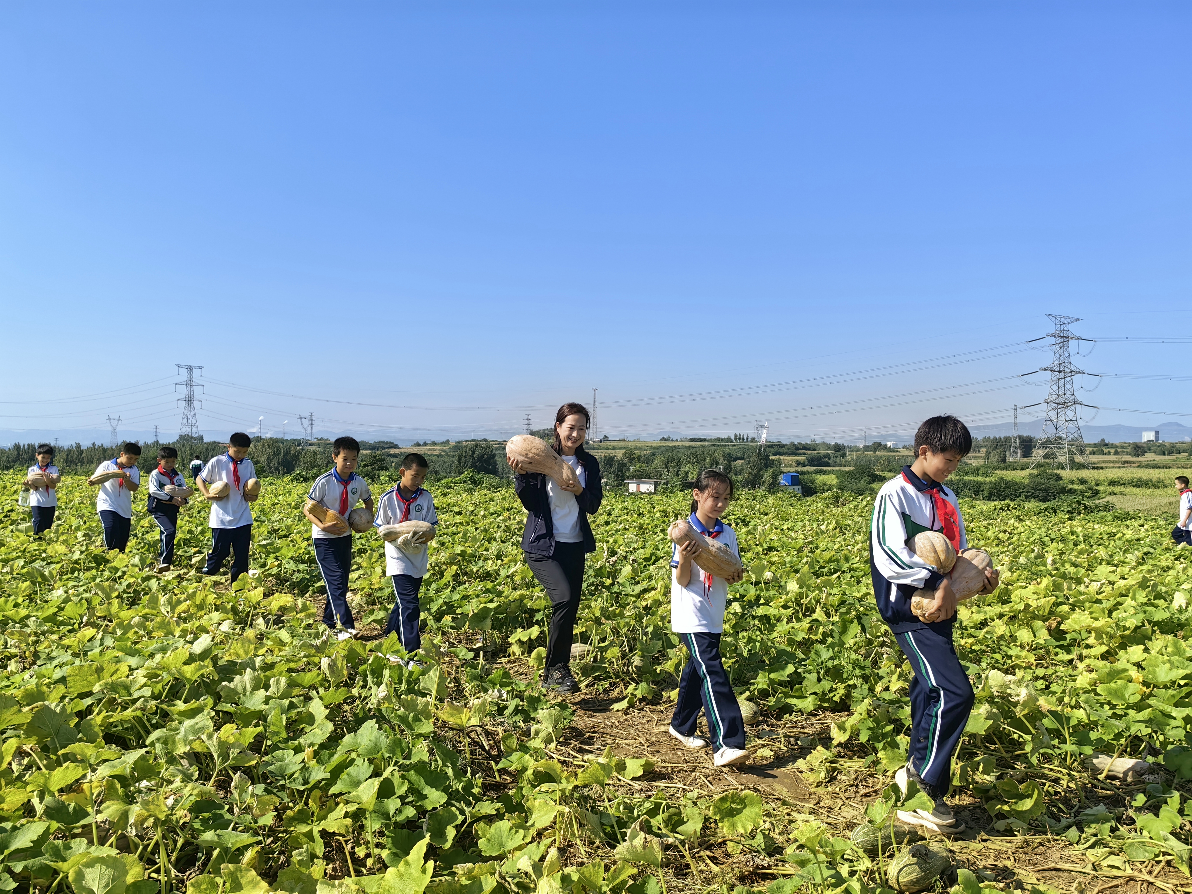 鹤壁市山城区第一小学：劳动基地显身手 蔬果采摘乐悠悠