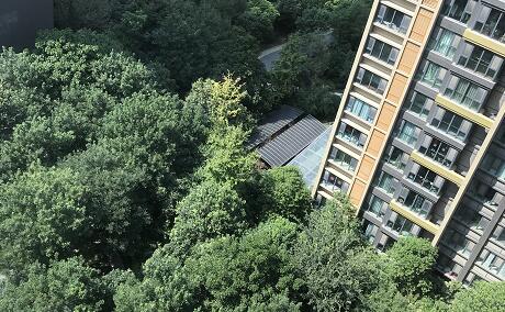 机构数据显示 11个城市取消限购政策