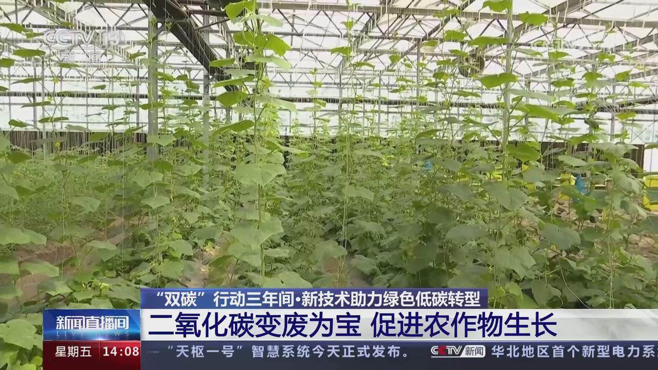 【央視關注河南新鄉】二氧化碳變廢為寶