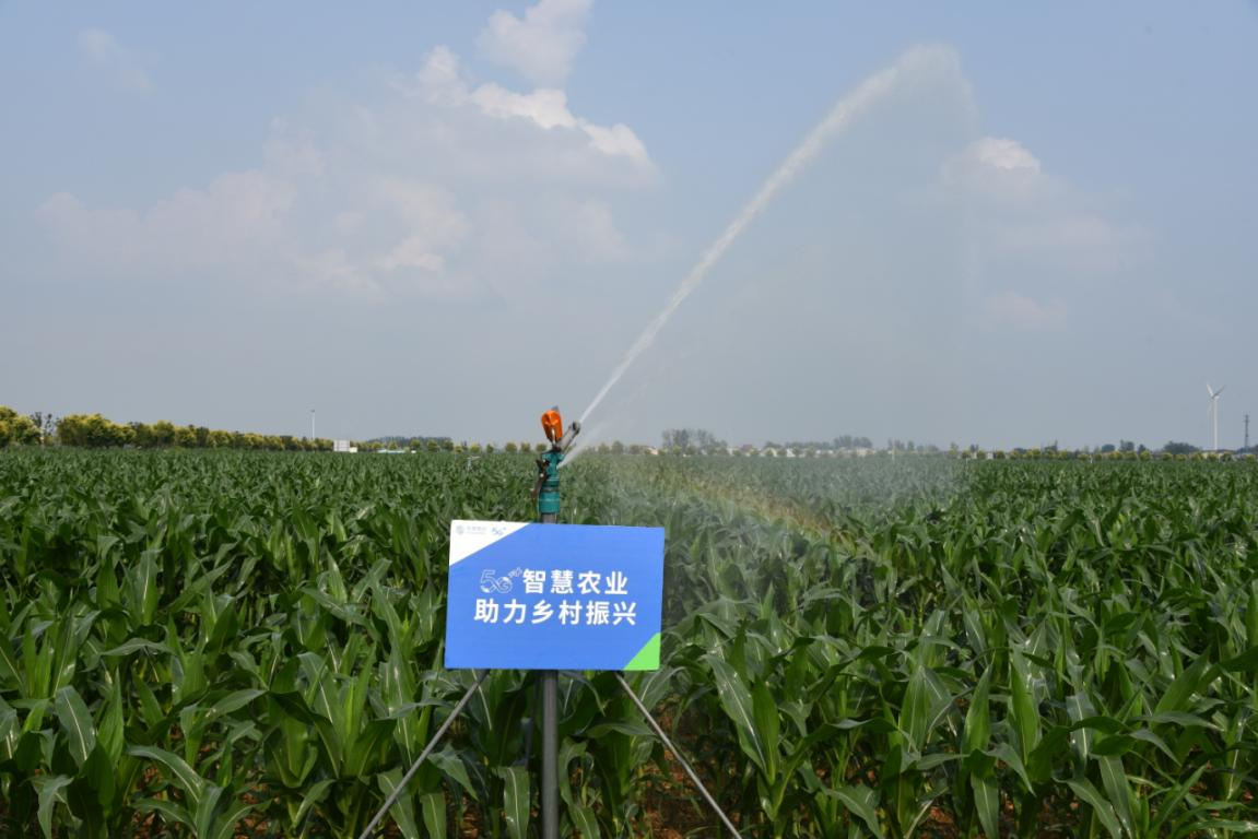 数“智”话丰收：河南移动打造农业大数据中心 培育5G智慧农业超级沃土