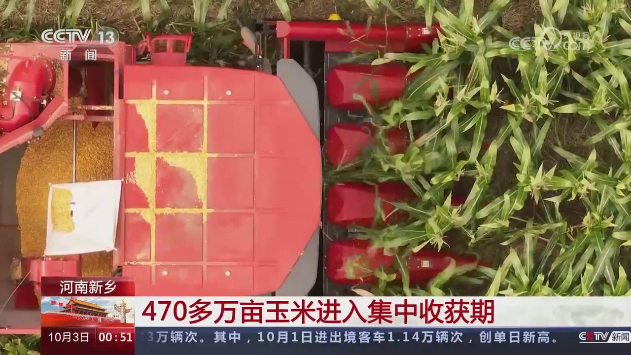 【央視關(guān)注新鄉(xiāng)】470多萬畝玉米進(jìn)入集中收獲期
