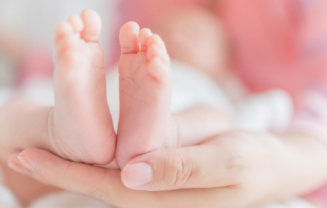 “母性”从何而来？孕激素或永久重塑女性大脑