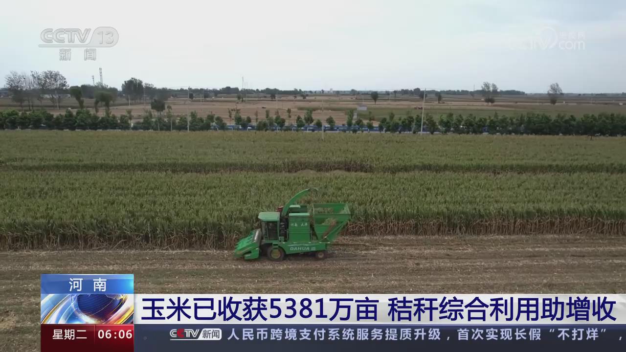 【央視關注河南】玉米已收獲5381萬畝