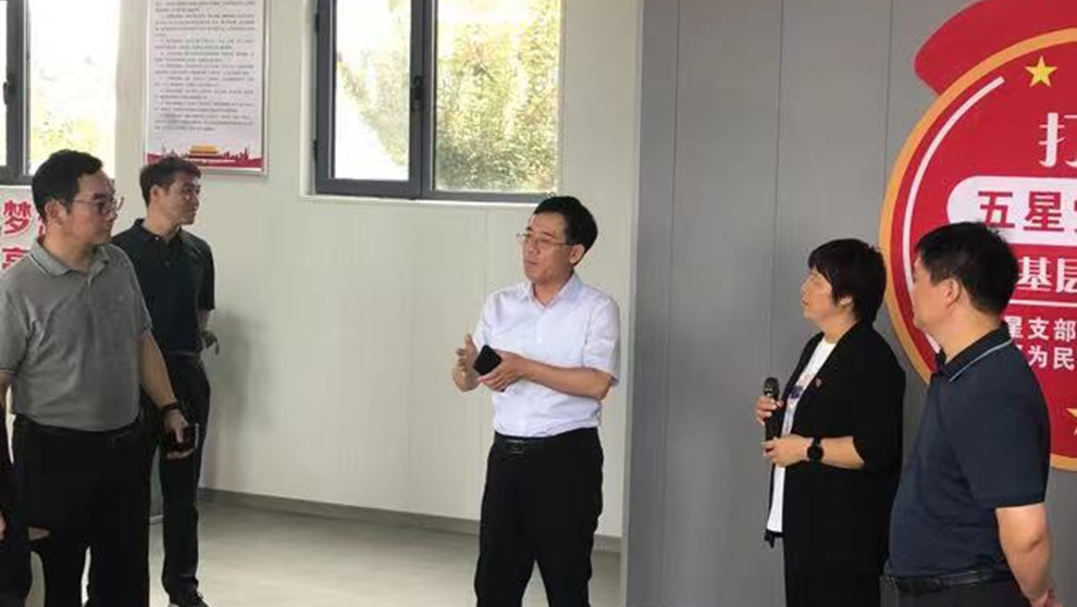 安阳市殷都区水冶镇从美丽乡村到和美乡村的蝶变