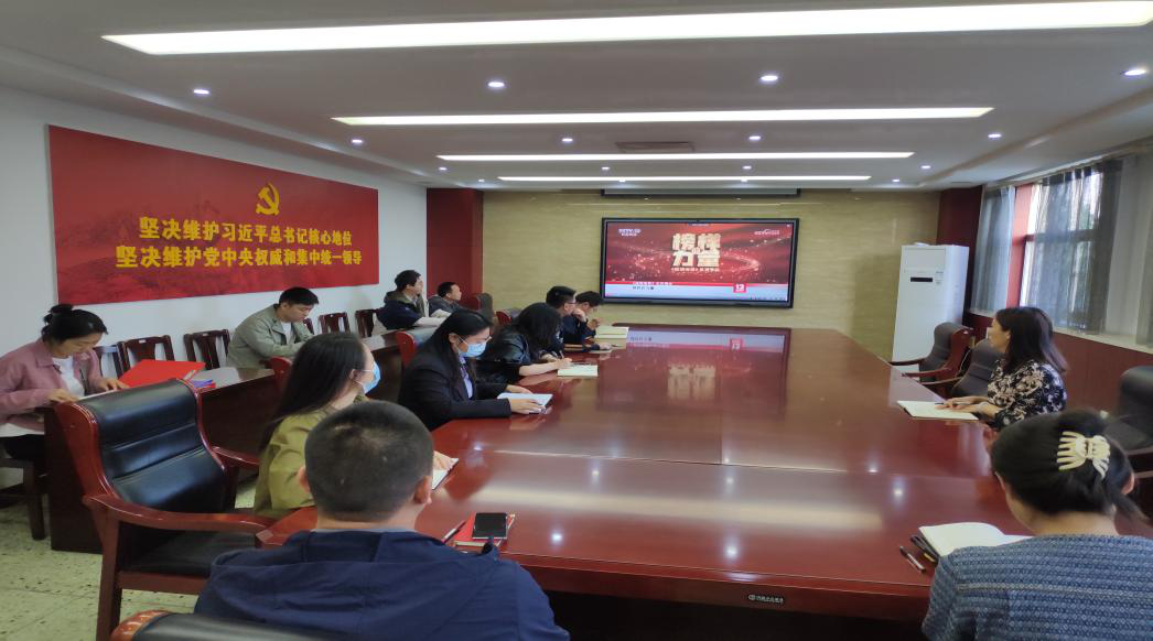 鹤壁经济技术开发区组织观看《榜样的力量（第二季）》