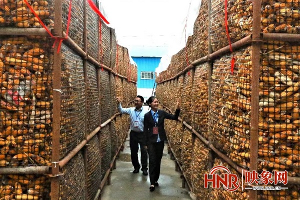 项城农商银行：创新便民产品  科技赋能普惠金融