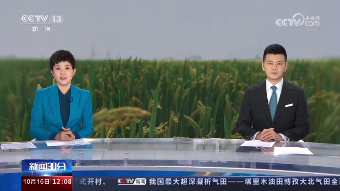 【央視關注河南安陽】適時晚收 170多萬畝玉米迎來豐收季