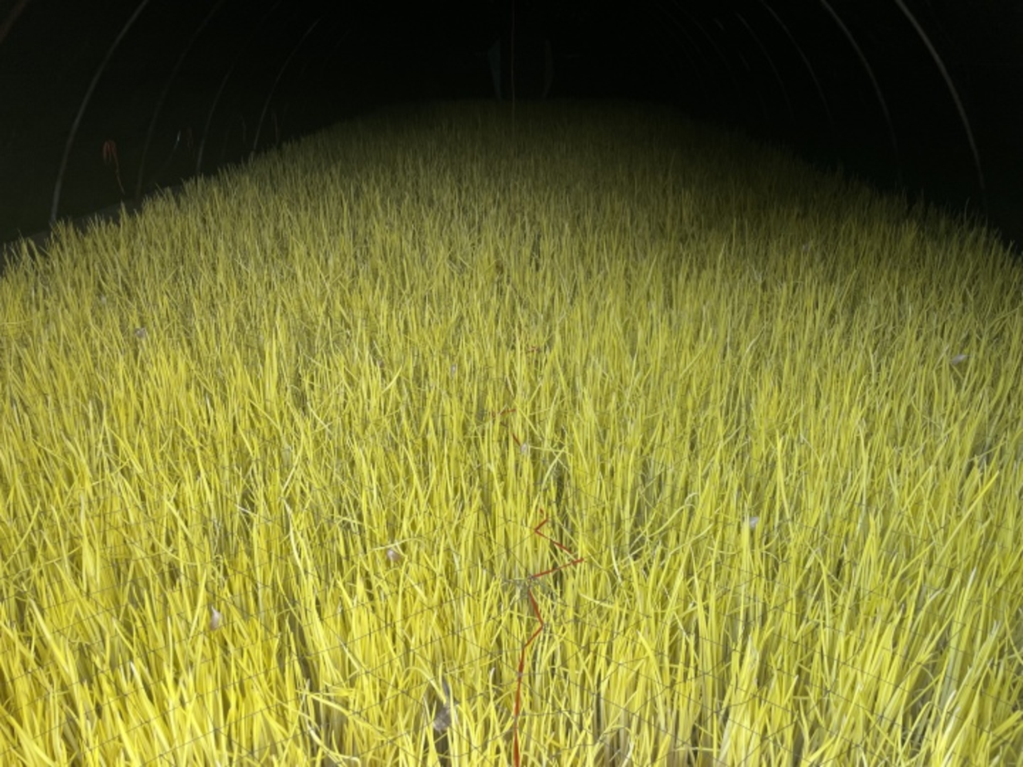 “践行大食物观 助力出彩中原”倡议书