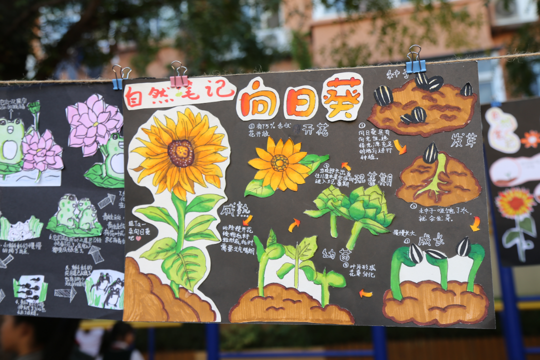 大自然里有很多秘密,只要我们用心去观察和发现,这扇秘密