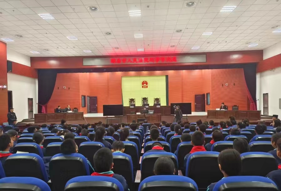 辉县市实验学校少先大队走进辉县法院感受法治文化