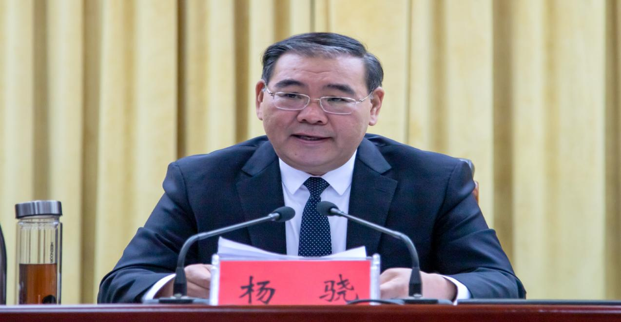 百日行动动员会议召开,洛阳市委副书记,政法委书记杨骁出席会议并讲话