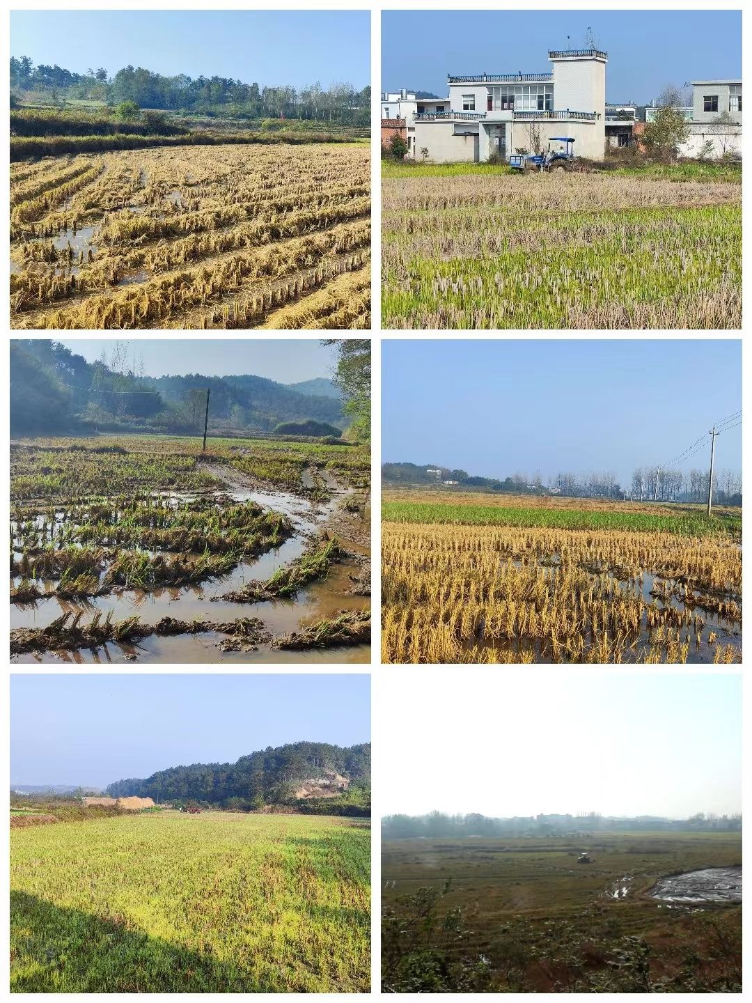 光山县白雀园镇开展2023年下半年土地流转观摩活动