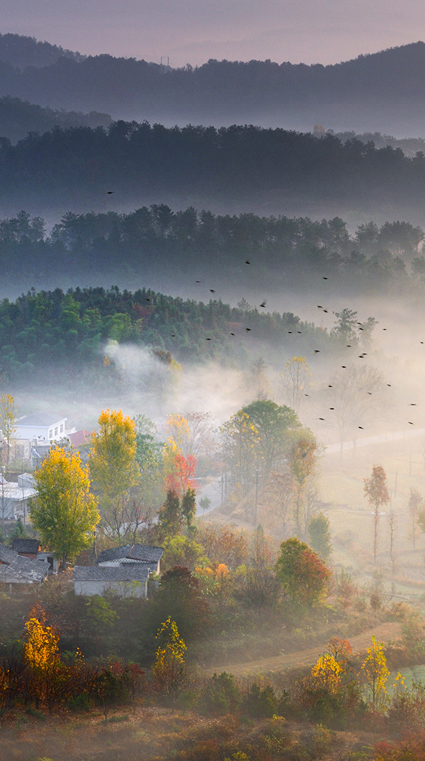 新县：橙黄橘绿时 人间秋色深