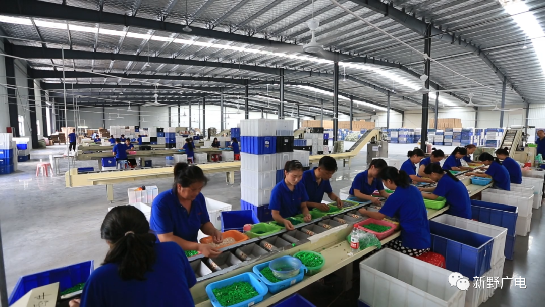 新野的目标打造中国玩具制造之都