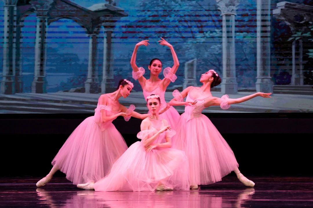 首站震撼中央芭蕾舞团走进河南高校