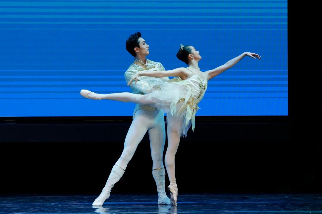 首站震撼中央芭蕾舞团走进河南高校