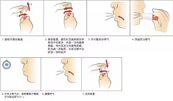 布地奈德福莫特罗吸入剂(信必可都保)(6)慢慢呼气(5)屏气5-10s(4)用力
