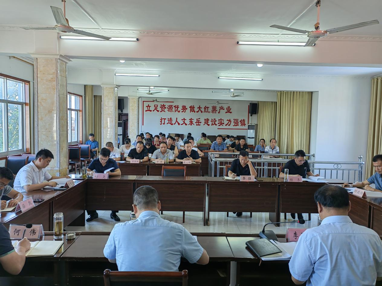 息县东岳镇深化主题教育凝聚干事创业精气神